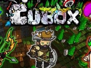 Cube Arena Challenge