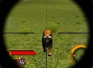 Valley Wildlife Precision Game
