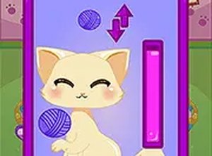 Feline Haven: Rescue & Relax