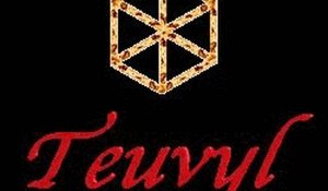Teuvyl Magic Quest Adventure
